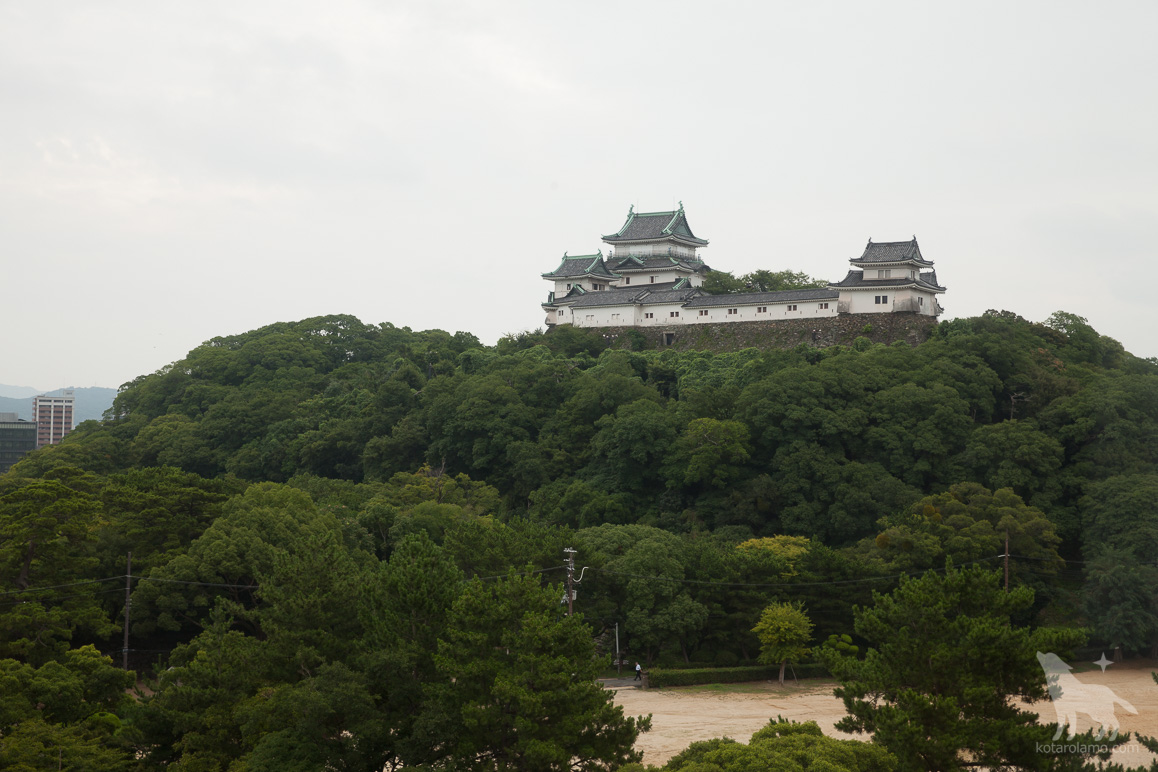 宿のすぐ目の前に和歌山城