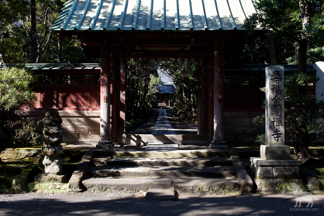 鎌倉の寿福寺(1)