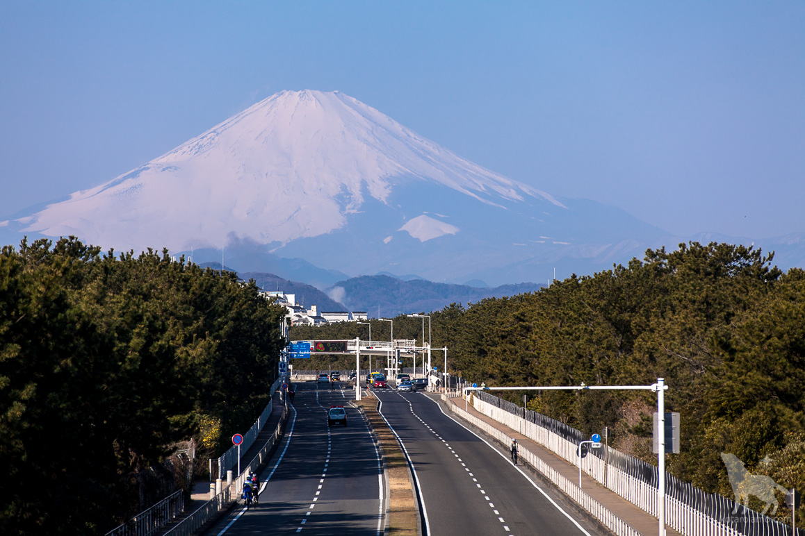 国道134号線と富士山
