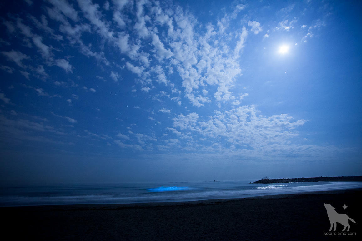 青く光る海 (3)