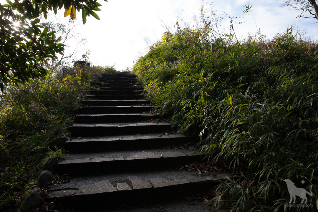 湘南平への階段