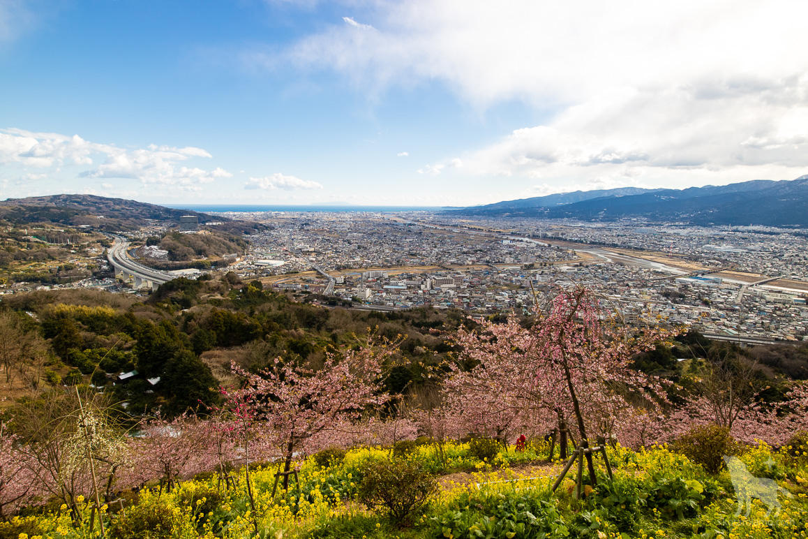 嵯峨山苑の一番高いところからの眺め