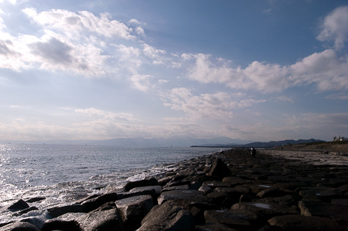 柳島から平塚方面を眺める